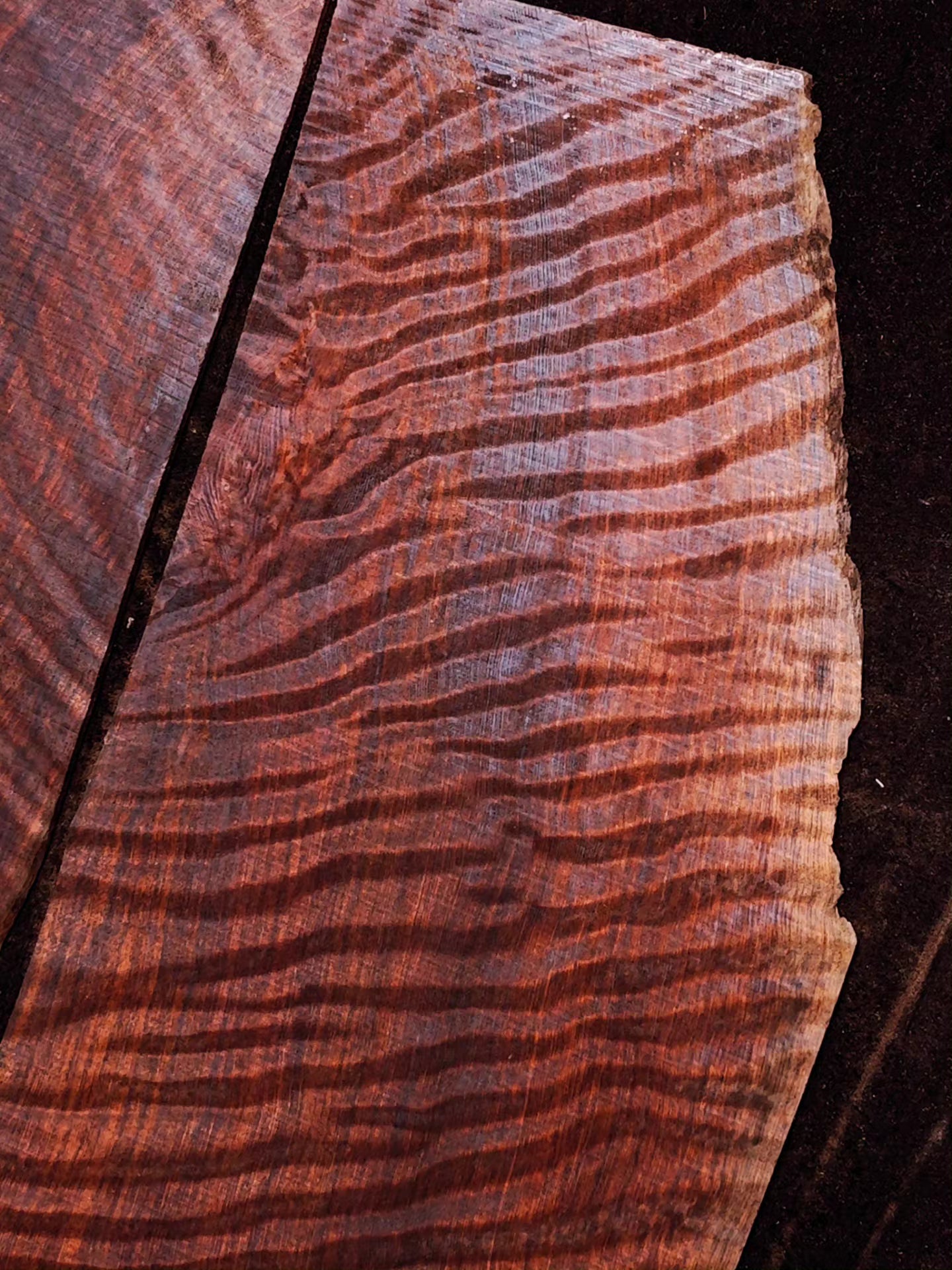 master grade ancient curly sinker redwood guitar top set #D05