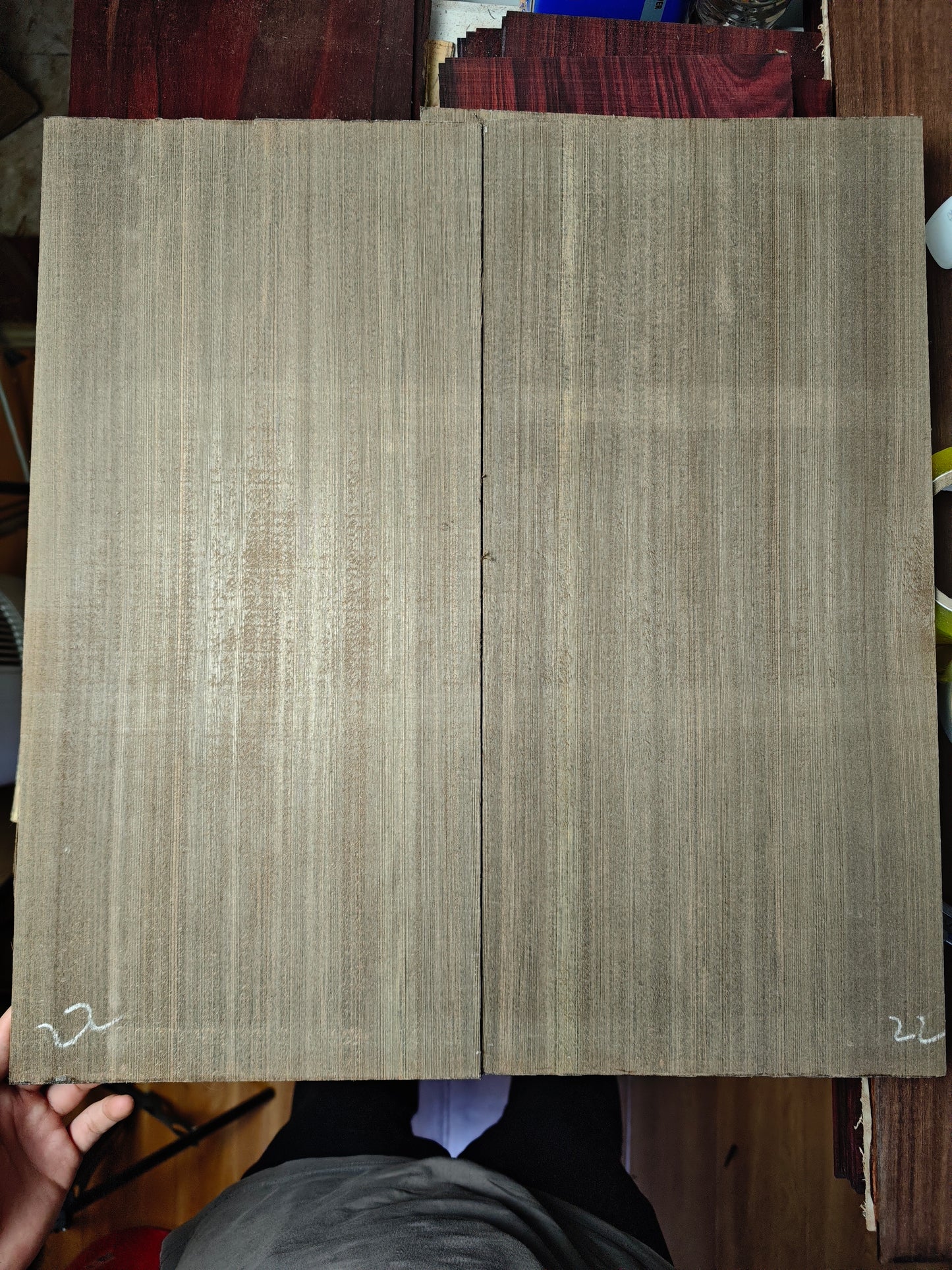 'Dragon Spruce' Ancient Sinker Chinese Spruce guitar top 5250 Years old
