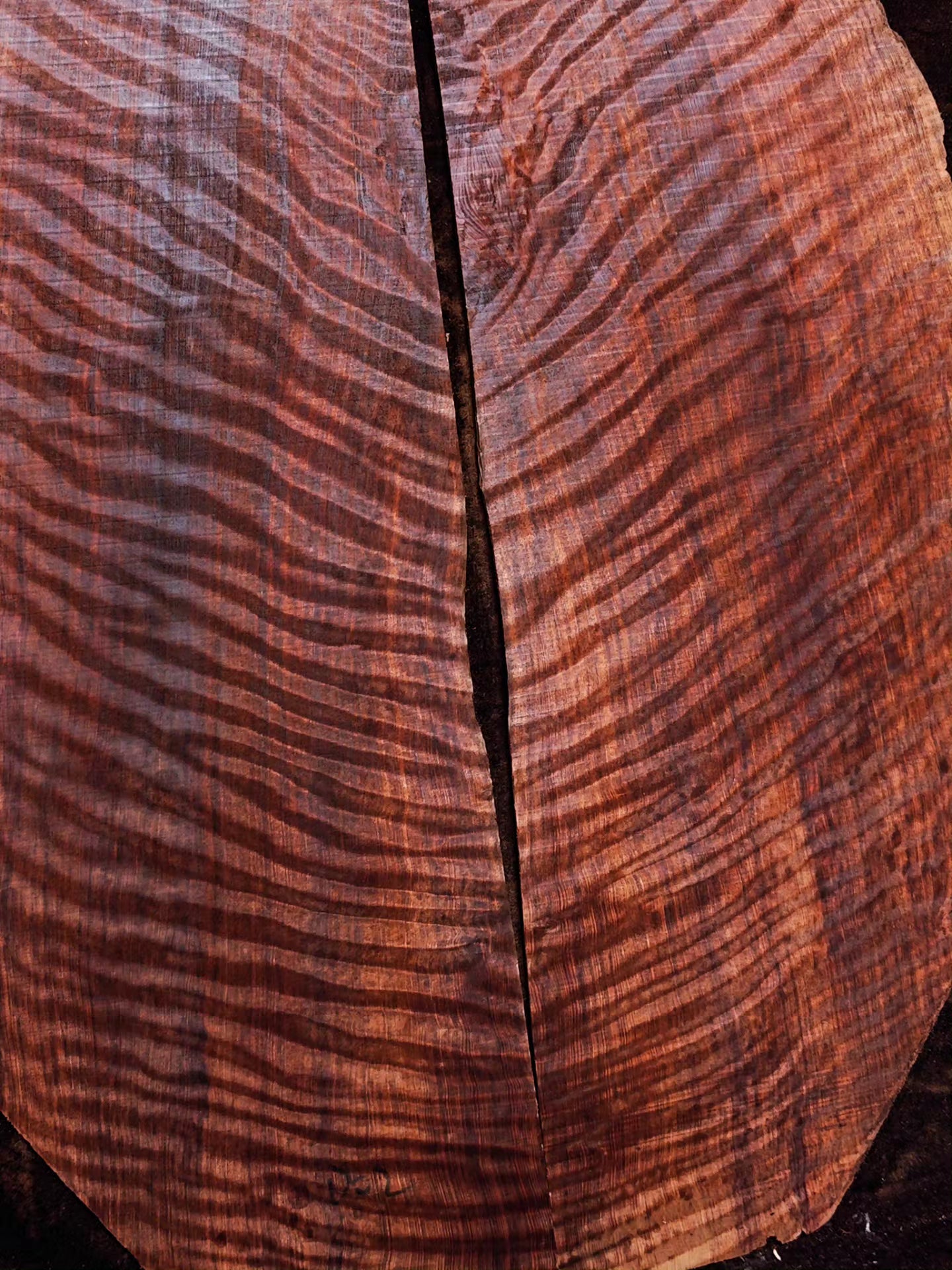 master grade ancient curly sinker redwood guitar top set #D05