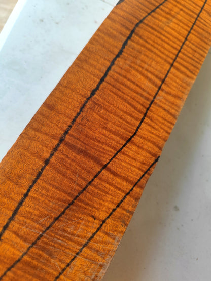 Master Grade Curly  honduran mahogany one piece neck