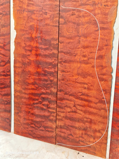 THE TREE honduran mahogany guitar backs&sides set