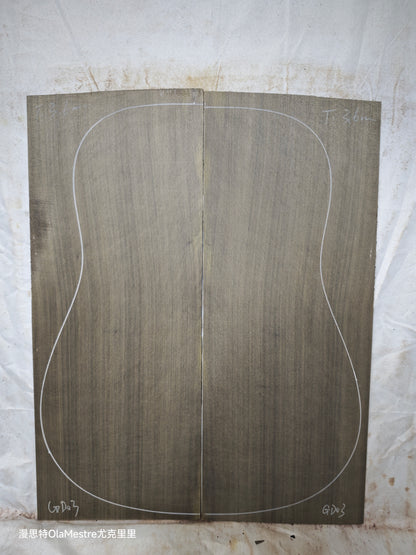 #GD 03 Green 'Dragon Spruce' Ancient Sinker Chinese Spruce guitar top