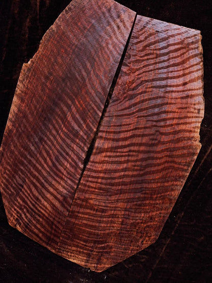 master grade ancient curly sinker redwood guitar top set #D05
