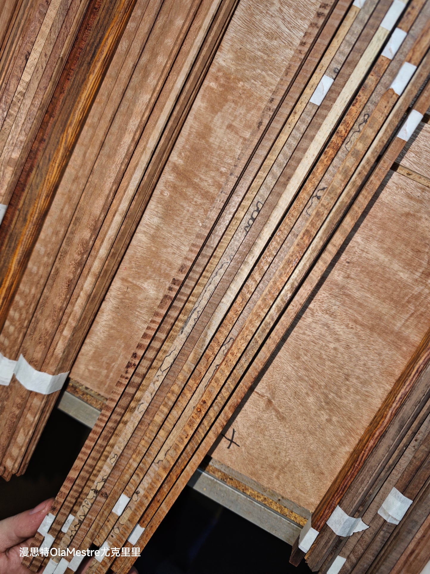 Curly padauk wood guitar binding