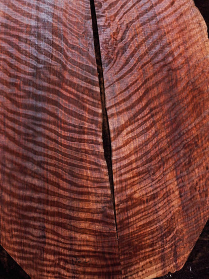 master grade ancient curly sinker redwood guitar top set #D05