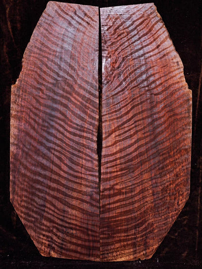 master grade ancient curly sinker redwood guitar top set #D05