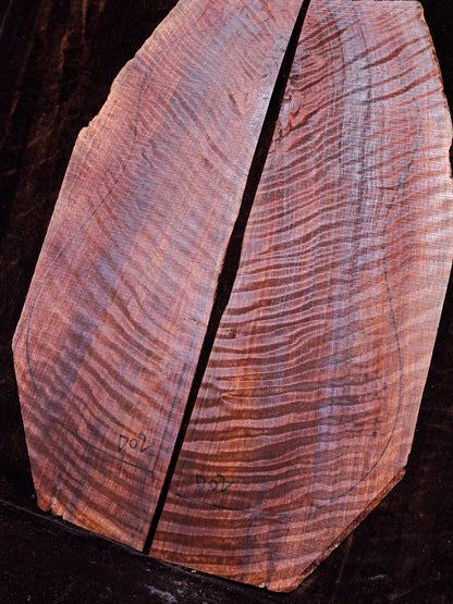master grade ancient curly sinker redwood guitar top set #D05